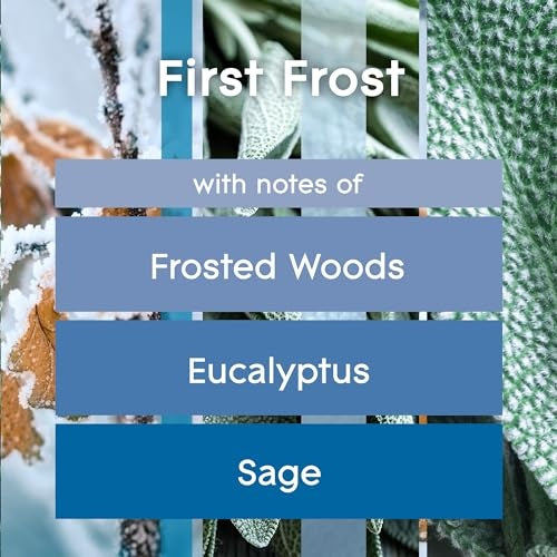 Glade PlugIns Refills Air Freshener, Scented and Essential Oils for Home and Bathroom, First Frost, Limited Edition Scent, 3.35 Fl Oz, 5 Count - Bellso