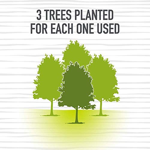 Aria, Earth Friendly Paper Towels, 2-Count - Bellso