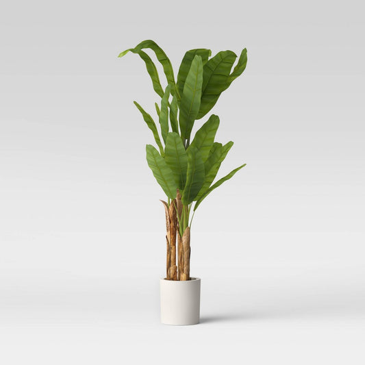 72" Banana Tree in Cement Pot - Threshold™ - Bellso