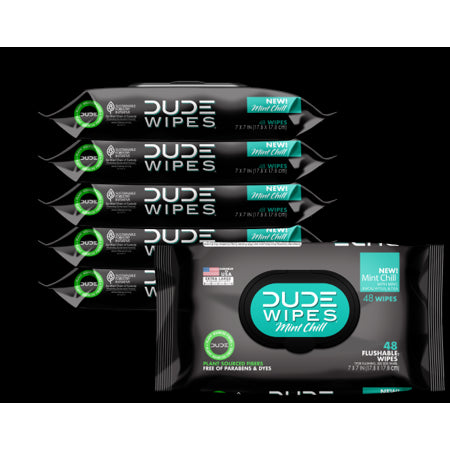 Dude Wipes Mint Chill Flushable Wipes 4 - 48 Wipe Packs - Bellso