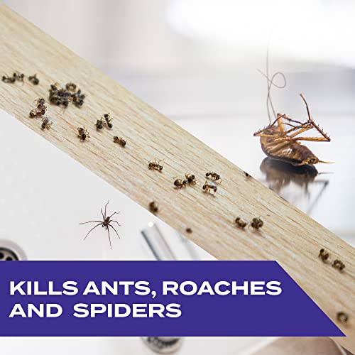 STEM Ant-Roach-Spider Insect Killer Bug Spray - 10oz - Bellso