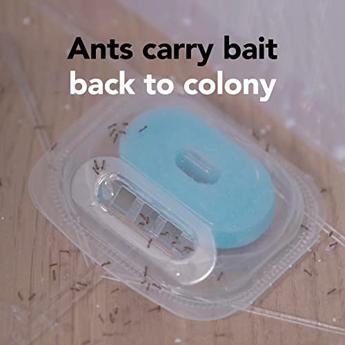 Raid 4-Pack Ant Bait Double Control - Bellso