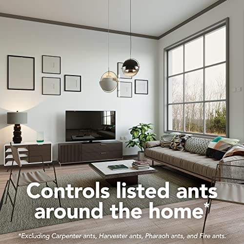 Raid 4-Pack Ant Bait Double Control - Bellso