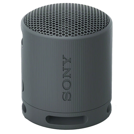 Sony Portable Wireless Speaker - Black