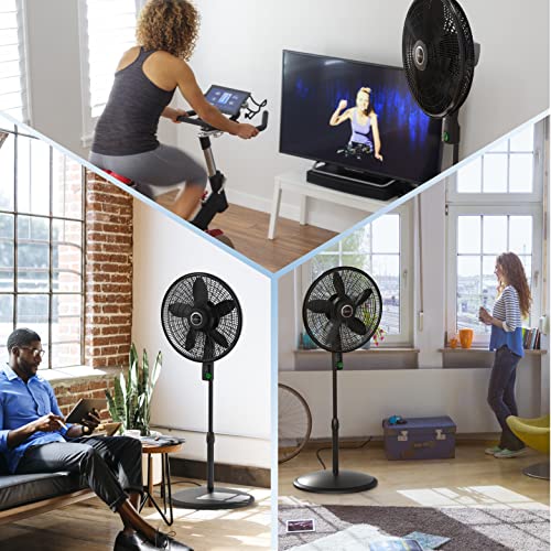 Lasko WhisperForce 18 12 Speed Oscillating Remote Control DC Motor Pedestal Fan Black S18708 - Bellso