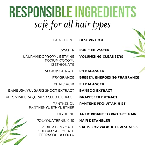 Pantene Pro-V Pantene Nutrient Blends Hair Volume Multiplier Shampoo with Bamboo, 9.6 Oz - Bellso
