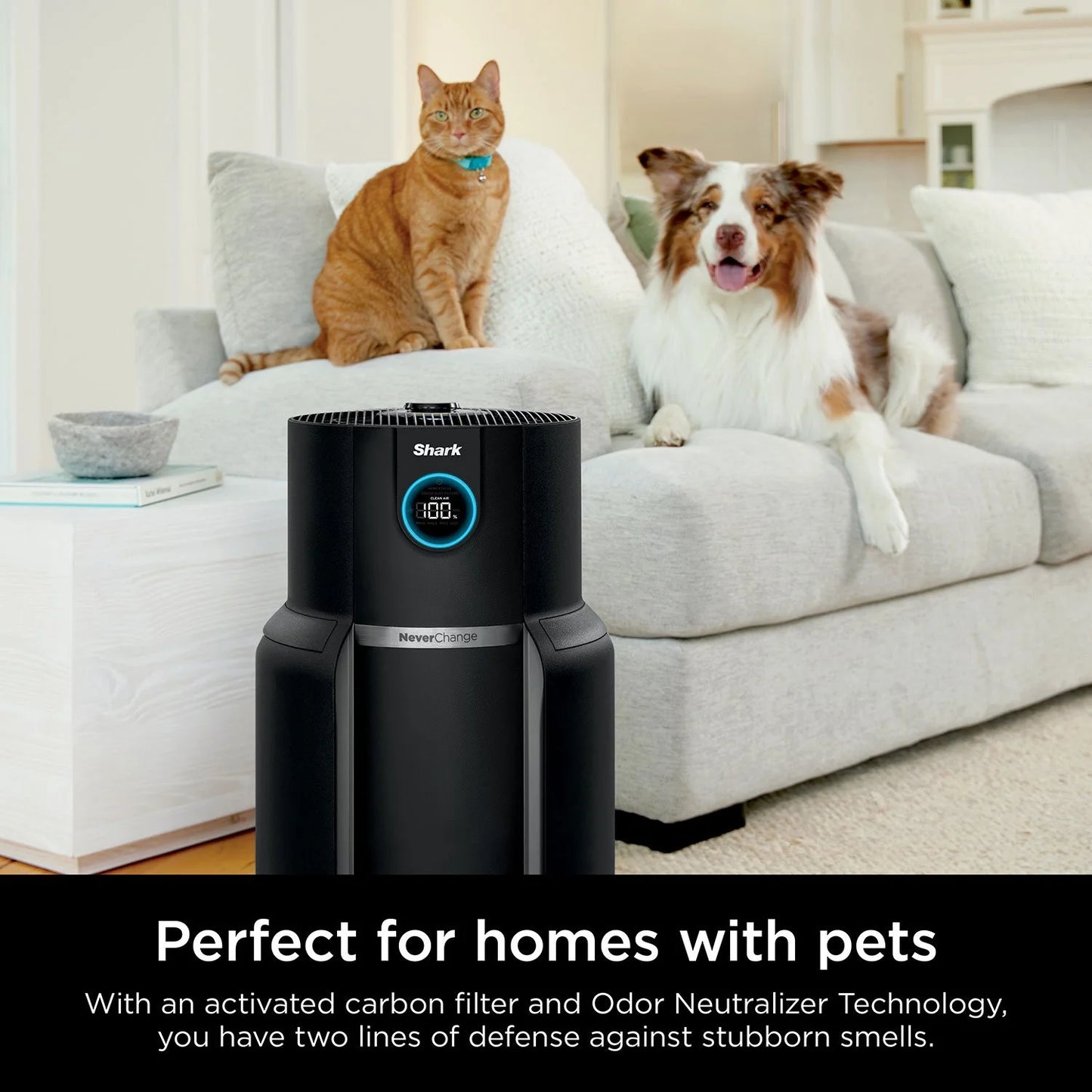 Shark NeverChange Air Purifier MAX + Remote & 2 Odor Neutralizer Cartridges - Bellso