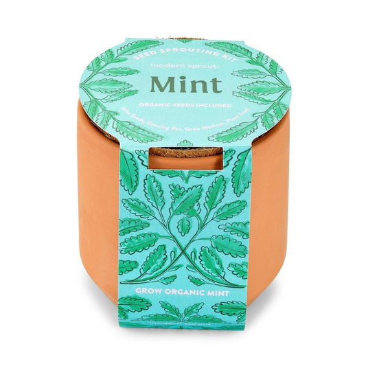 Modern Sprout Tiny Terracotta - Bellso