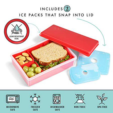 Fit + Fresh Multi-Flex Bento Box with 2 Removeable Ice Packs Divided Meal Carrier Lunch Container PA-Free 5 6 - Bellso