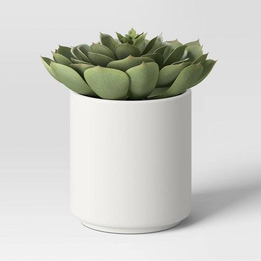 Artificial Single Succulent Plant Sage - ThresholdtM: Indoor Echeveria, Faux Soil, Stoneware Pot - Bellso