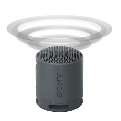 Sony Portable Wireless Speaker - Black