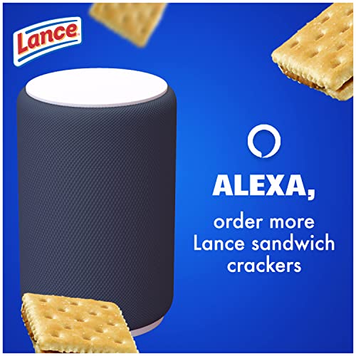 Lance Sandwich Crackers  Captain S Wafers Peanut Butter and Honey  10 Packs  6 Sandwiches Each