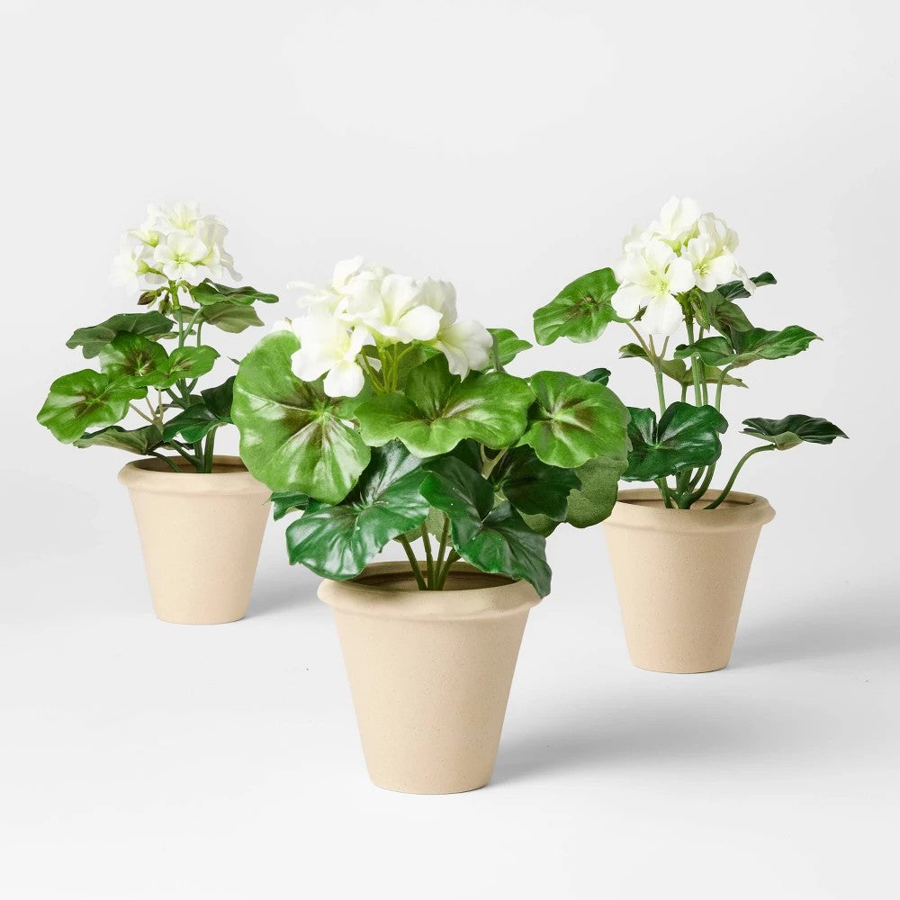 Set of 3 Geranium Potted Arrangements - Threshold™ Designed with Studio McGee