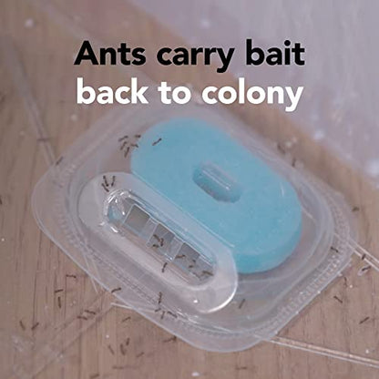 Raid 4-Pack Ant Bait Double Control - Bellso