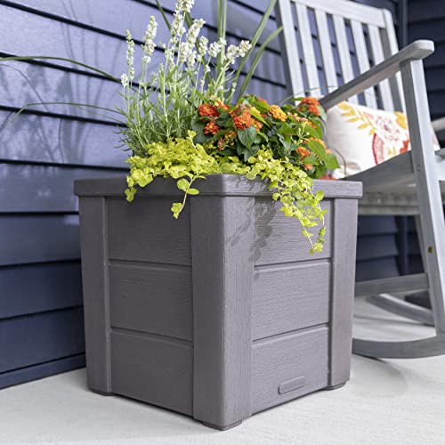 Lakewood 16 in. H X 15.75 in. W X 15.75 in. D Dark Cedar Resin Square Indoor/Outdoor Planter Box - Bellso