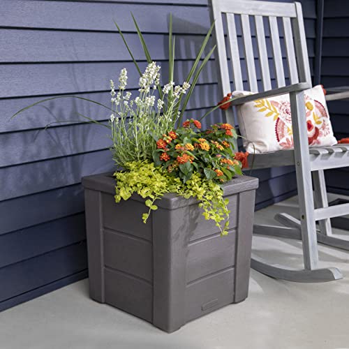 Lakewood 16 in. H X 15.75 in. W X 15.75 in. D Dark Cedar Resin Square Indoor/Outdoor Planter Box - Bellso