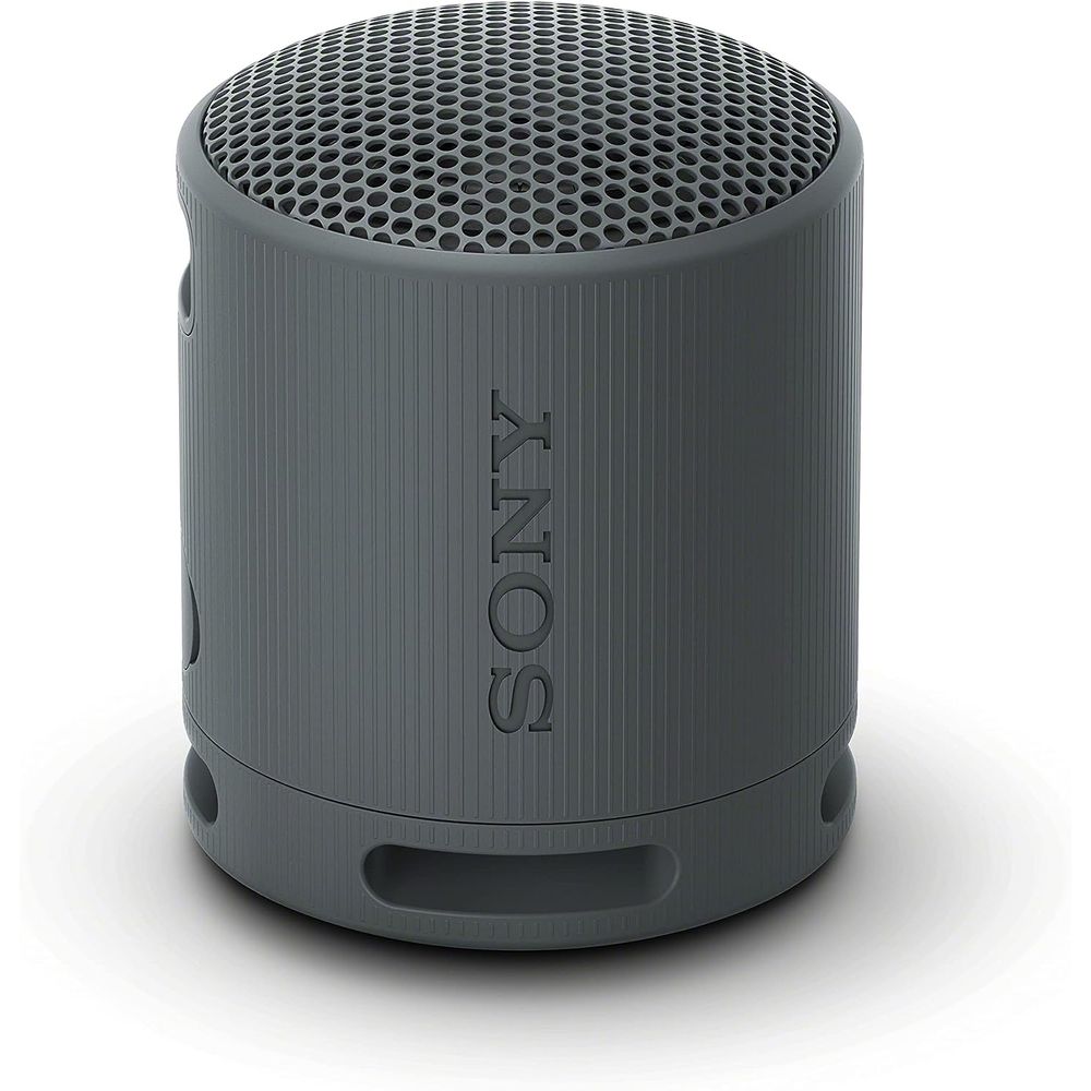 Sony Portable Wireless Speaker - Black