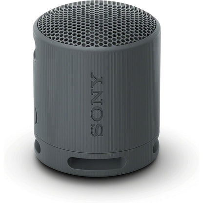Sony Portable Wireless Speaker - Black