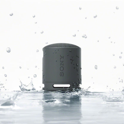 Sony Portable Wireless Speaker - Black