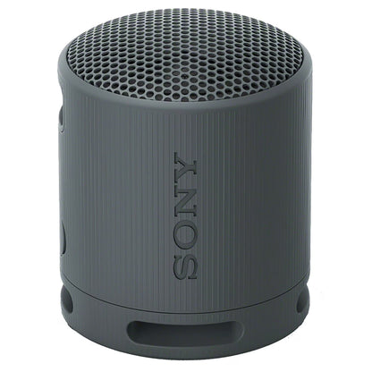 Sony Portable Wireless Speaker - Black