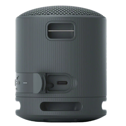 Sony Portable Wireless Speaker - Black