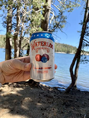 Waterloo Sparkling Water, Sparkling Water Summer Berry, 12 Oz