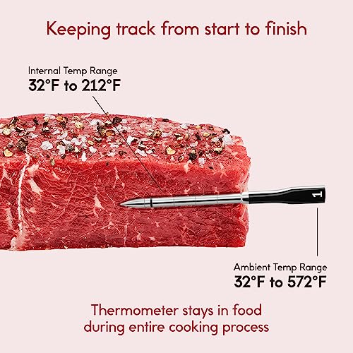 CHEF IQ Sense Smart Wireless Ultra-Thin Meat Thermometer  Unlimited Range  Bluetooth & Wifi  - 2 Probe Set with Smart Hub