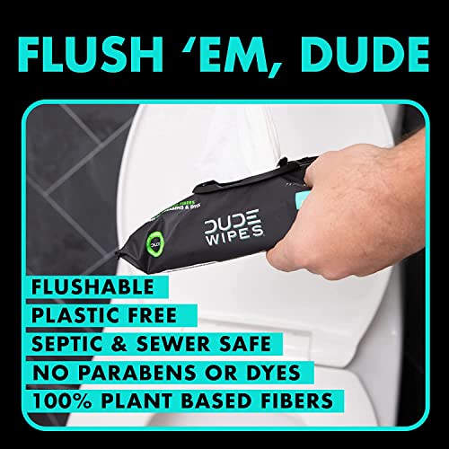 DUDE Wipes Mint Dispenser Pack Club Box  Mint Chill (8 Pack  50 Count) - Bellso