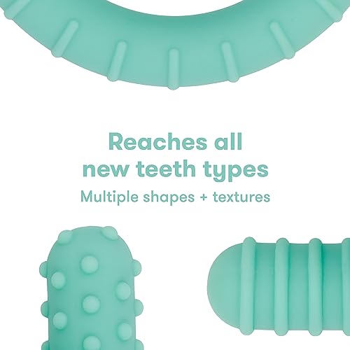 Frida Baby Get a Grip Teether - Bellso