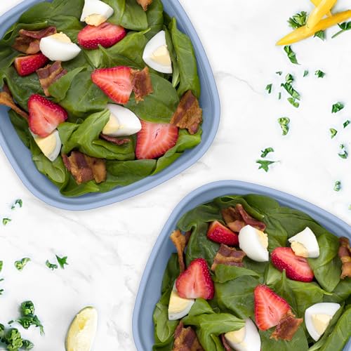 Bentgo Salad Bento Lunch Box, 2-Pack (Slate) - Bellso