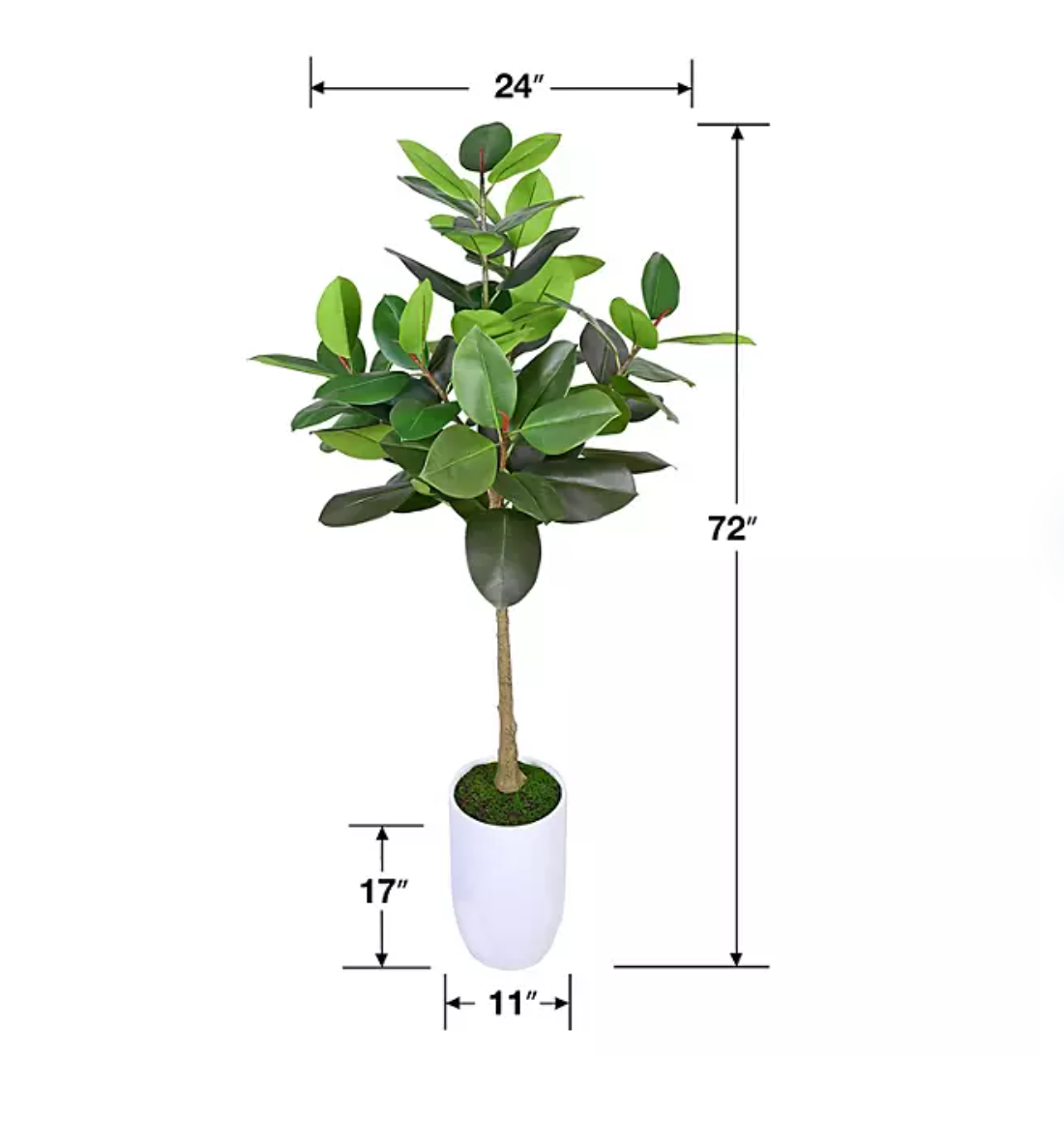 Artificial 6' Boxed Rubber Tree in White Ceramic Planter - Bellso