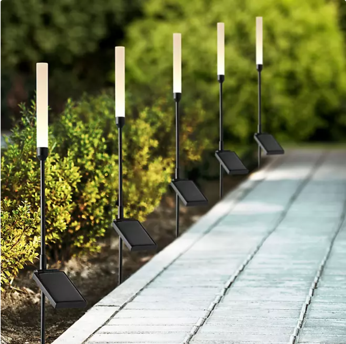 Member's Mark Reed LED Solar Landscape Accent Lights, 5-Pack - Bellso