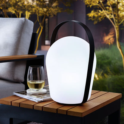 Member's Mark Color Changing 15" Outdoor Lantern
