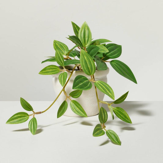 8" Mini Faux Ivy Plant - Hearth & HandtM with Magnolia: Indoor Artificial Greenery, Tabletop Decor - Bellso